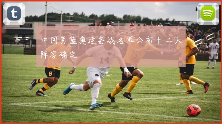 中国男篮奥运备战名单公布十二人阵容确定